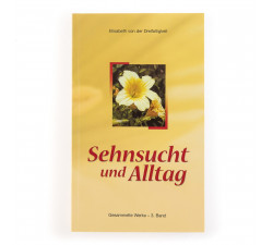 Sehnsucht und Alltag. Elisabeth von der Dreifaltigkeit. Band 3