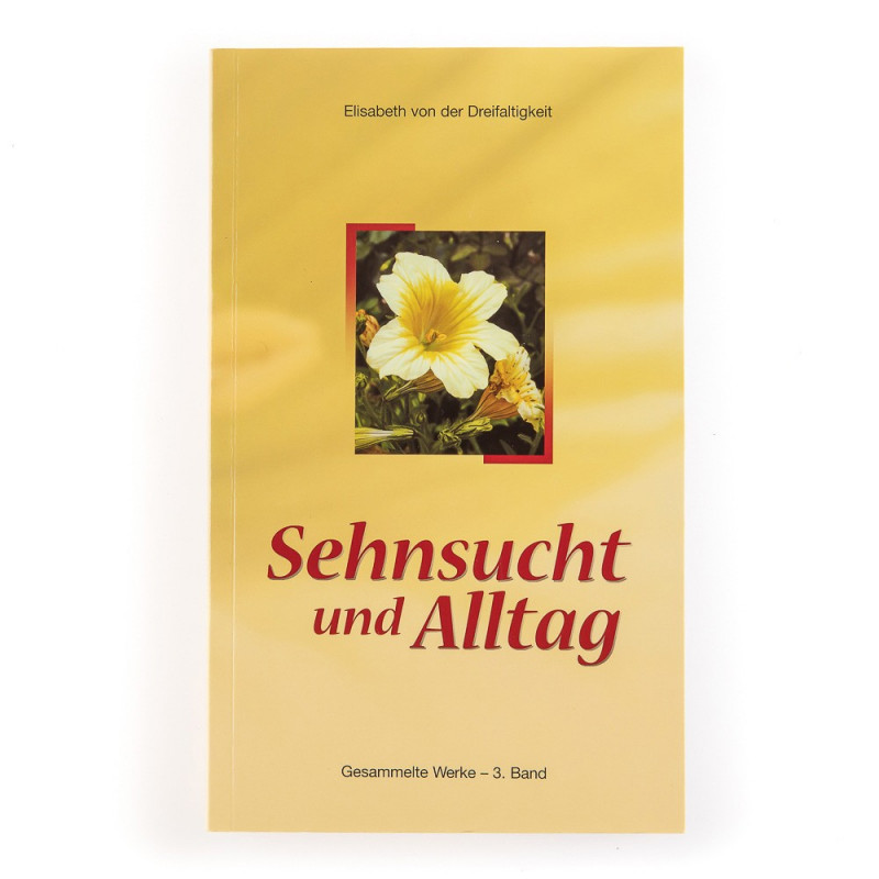 Sehnsucht und Alltag. Elisabeth von der Dreifaltigkeit. Band 3